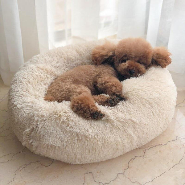 PawCuddle™ Calming Dog Bed