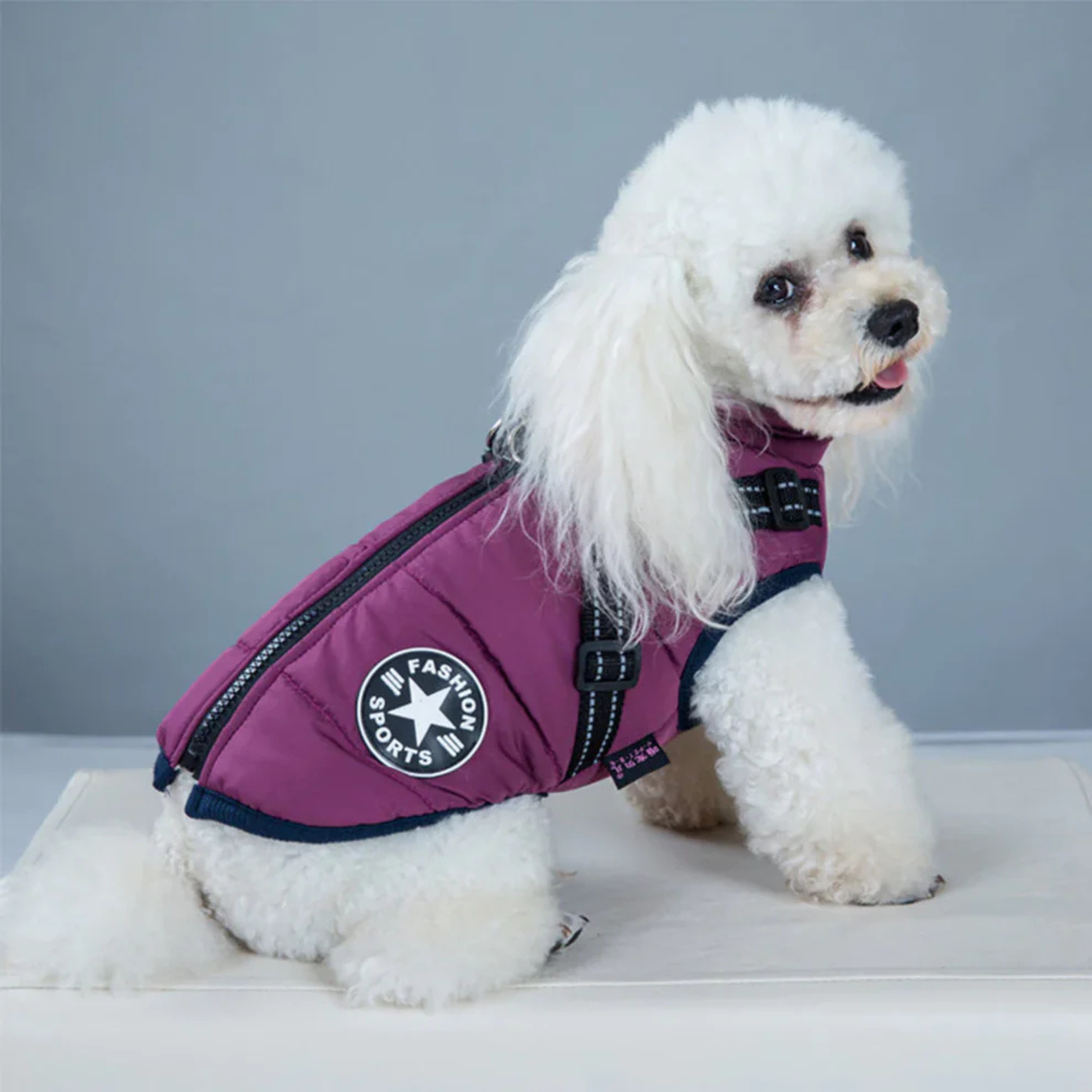 PupShield™ 3-in-1 Dog Jacket