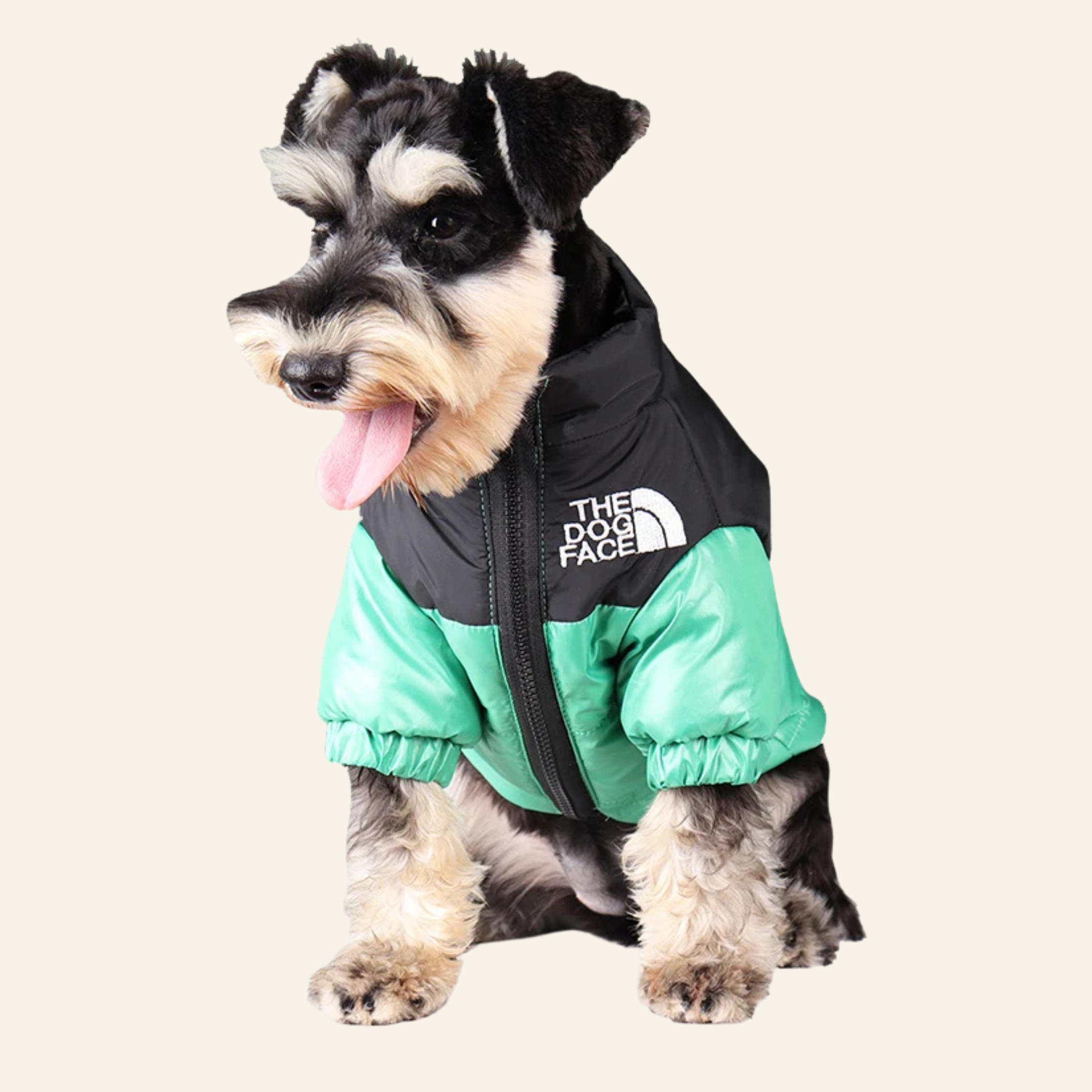 PawPeak Adventure™  Pet Puffer Jacket