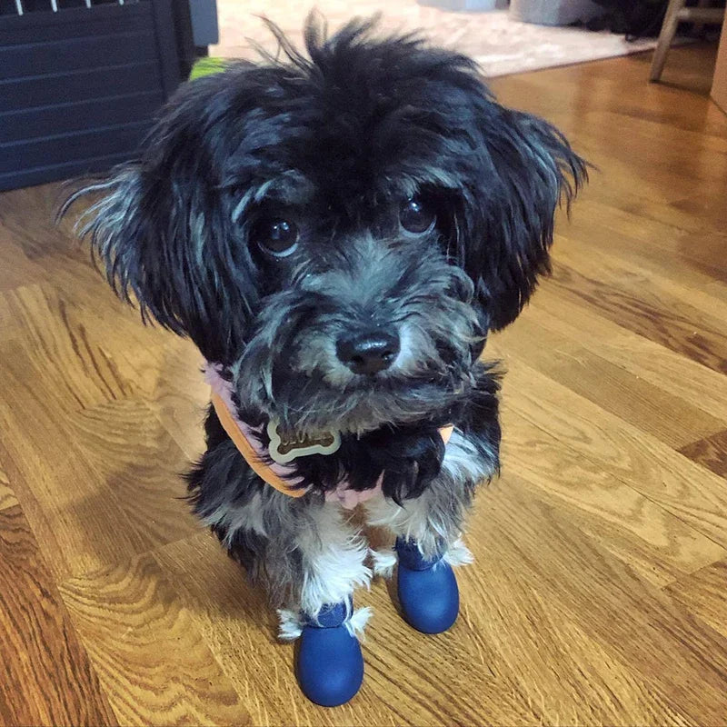 PawTerrain™ Waterproof Dog Boots