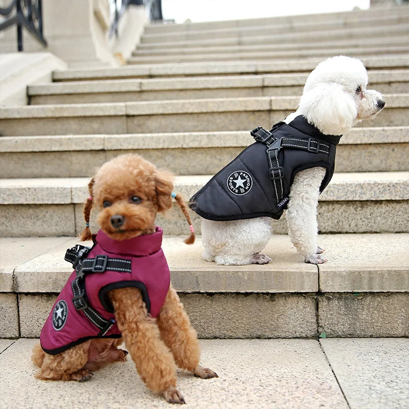 PupShield™ 3-in-1 Dog Jacket