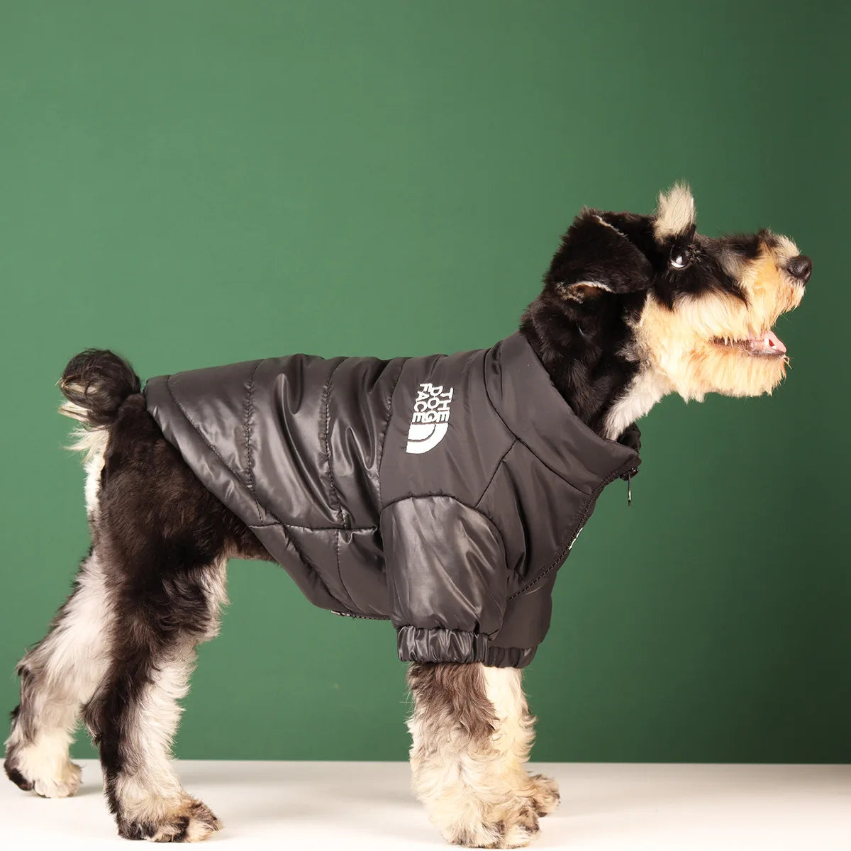 PawPeak Adventure™  Pet Puffer Jacket