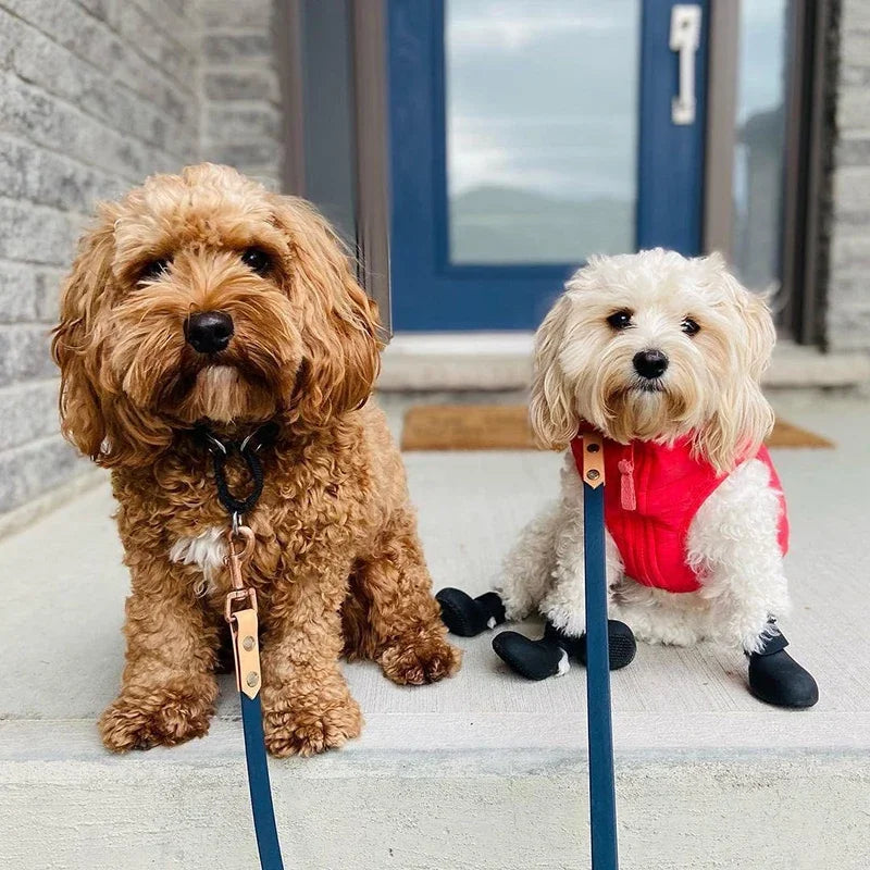 PawTerrain™ Waterproof Dog Boots