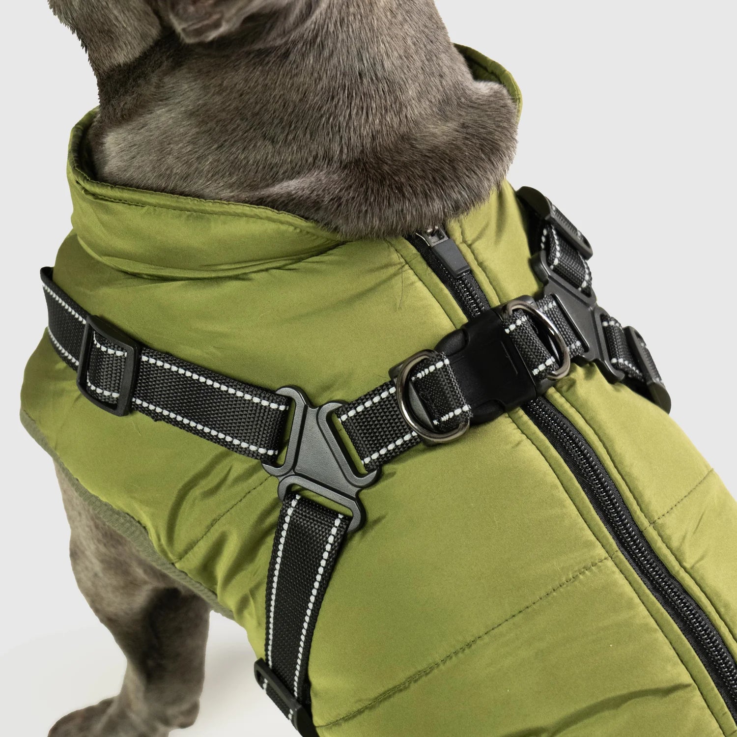 PupShield™ 3-in-1 Dog Jacket